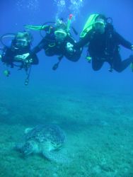 Big turtle with my girls in Marsa Abu Dabab, Egypt,by Ron... by Ronald Slooter 
